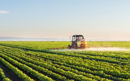 Сельское хозяйство 